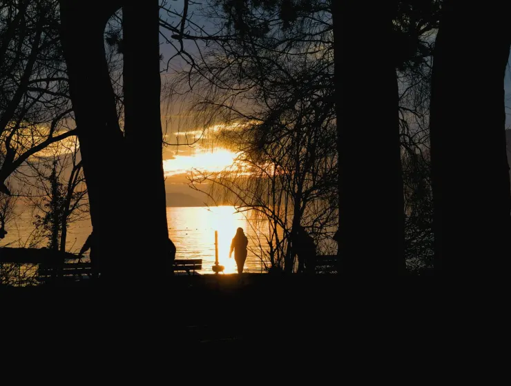 Lakeside evening walk