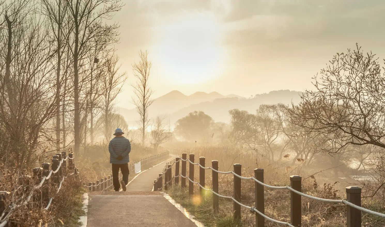 How to Shoot a Neighbourhood Photo Essay in Mid-Autumn Light